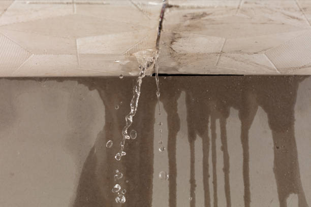 Professional Sewage Cleanup technician working in Shepherd, MI